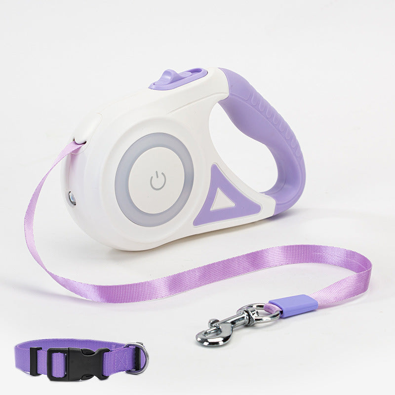 Glowing Dog Leash and Collar