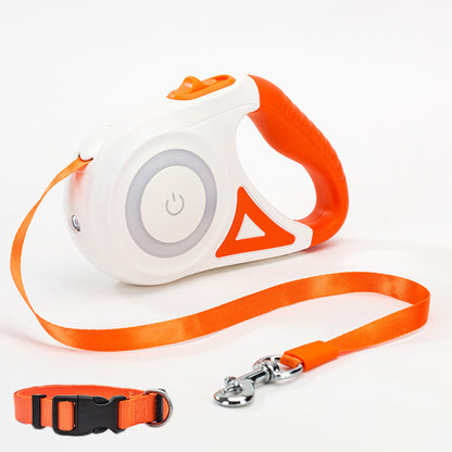 Glowing Dog Leash and Collar